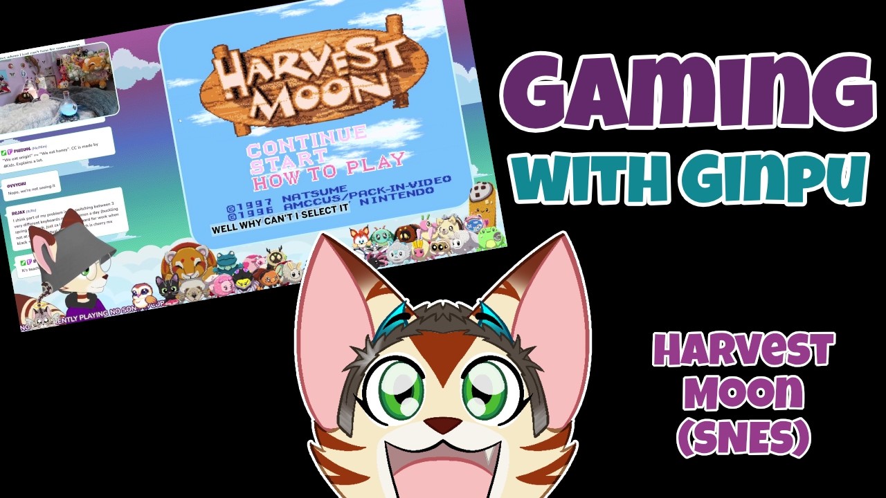 Twitch VOD - 03022026Time to start my farming journey on the SNES