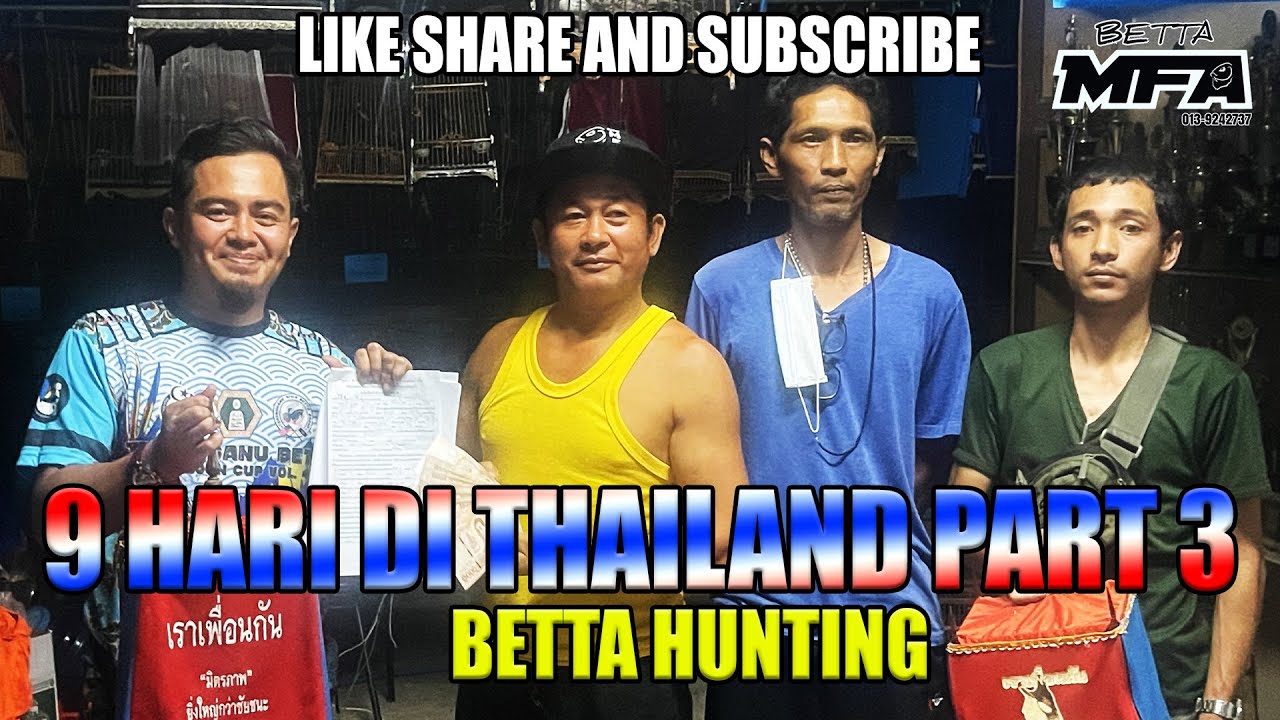 9 HARI DI THAILAND / BETTA HUNTING PART 3