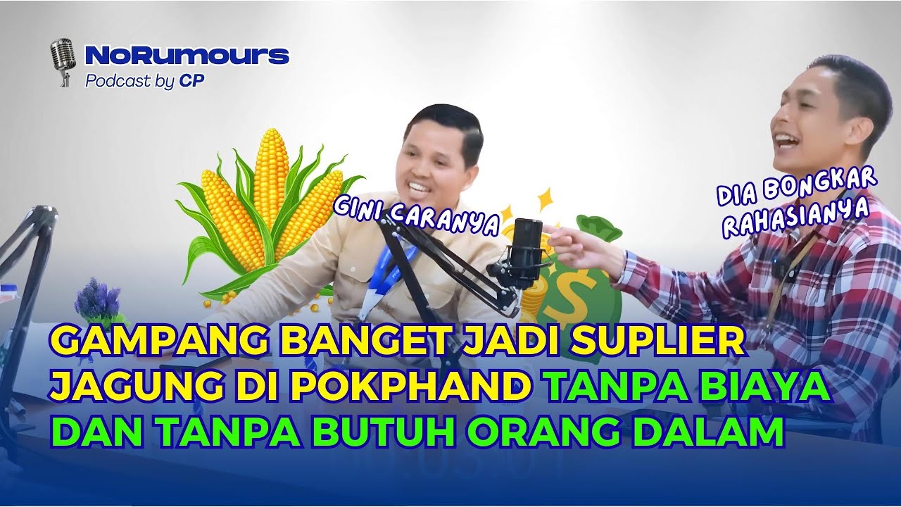 No Rumors: Cara Jadi Supplier Jagung ke Charoen Pokphand | Tanpa Ordal, Tanpa Pungli, Dibayar Cepat