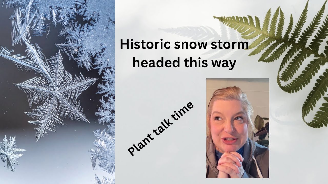 Historic winter storm headed our way | Let’s talk plants #weather #plants #indoorgardening #garden 