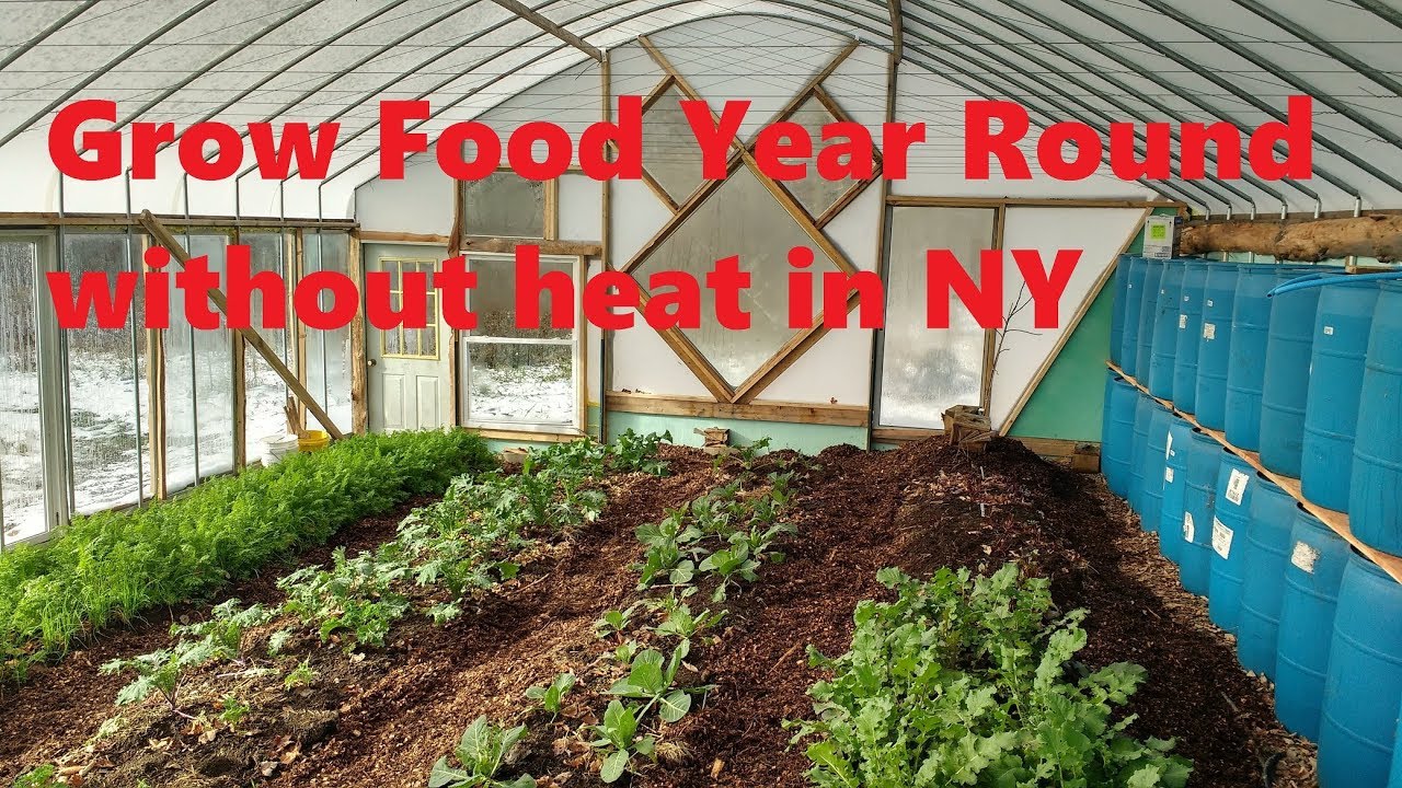 DIY unheated greenhouse grows food year-round in Upstate NY