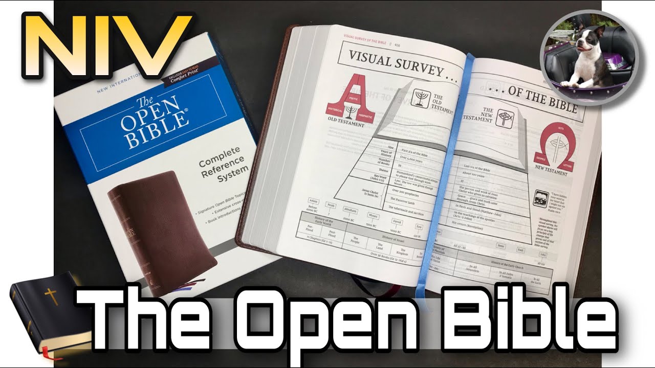 Обзор Библии NIV Open Bible, коричневая натуральная кожа