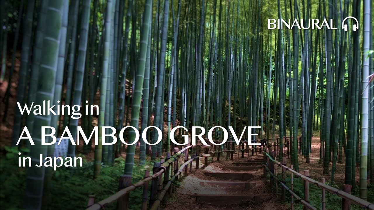 Tsuzuki Chuo Park | Relaxing Walk in Japan | Binaural