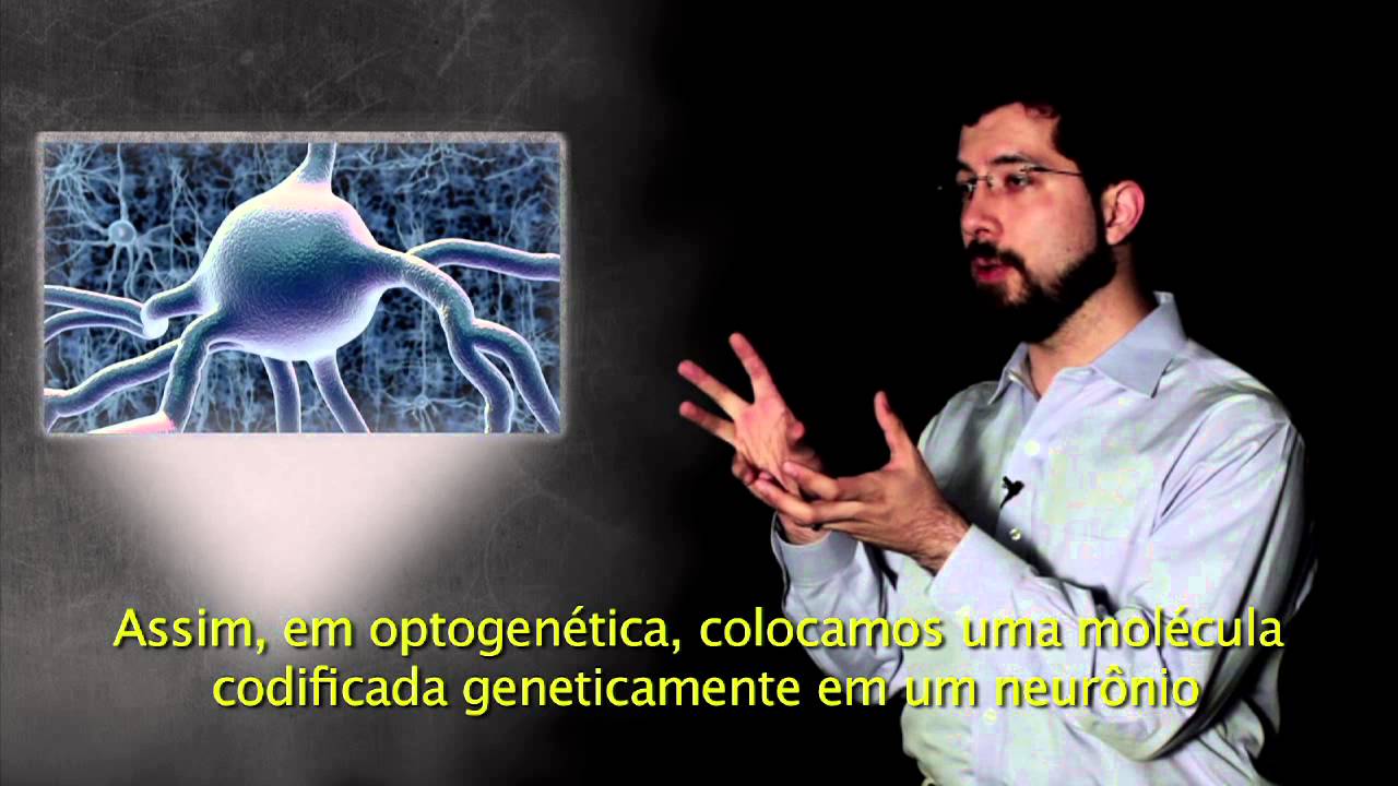BrainStorm - Using light to control neurons - Ed Boyden
