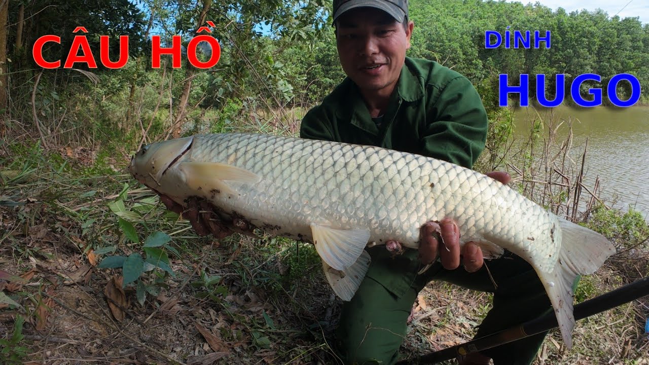 ĐI C&Acirc;U HỒ SAU MẤY NG&Agrave;Y R&Eacute;T ĐẬM -D&Iacute;NH TO&Agrave;N C&Aacute; TO - Camera Thợ Rừng .