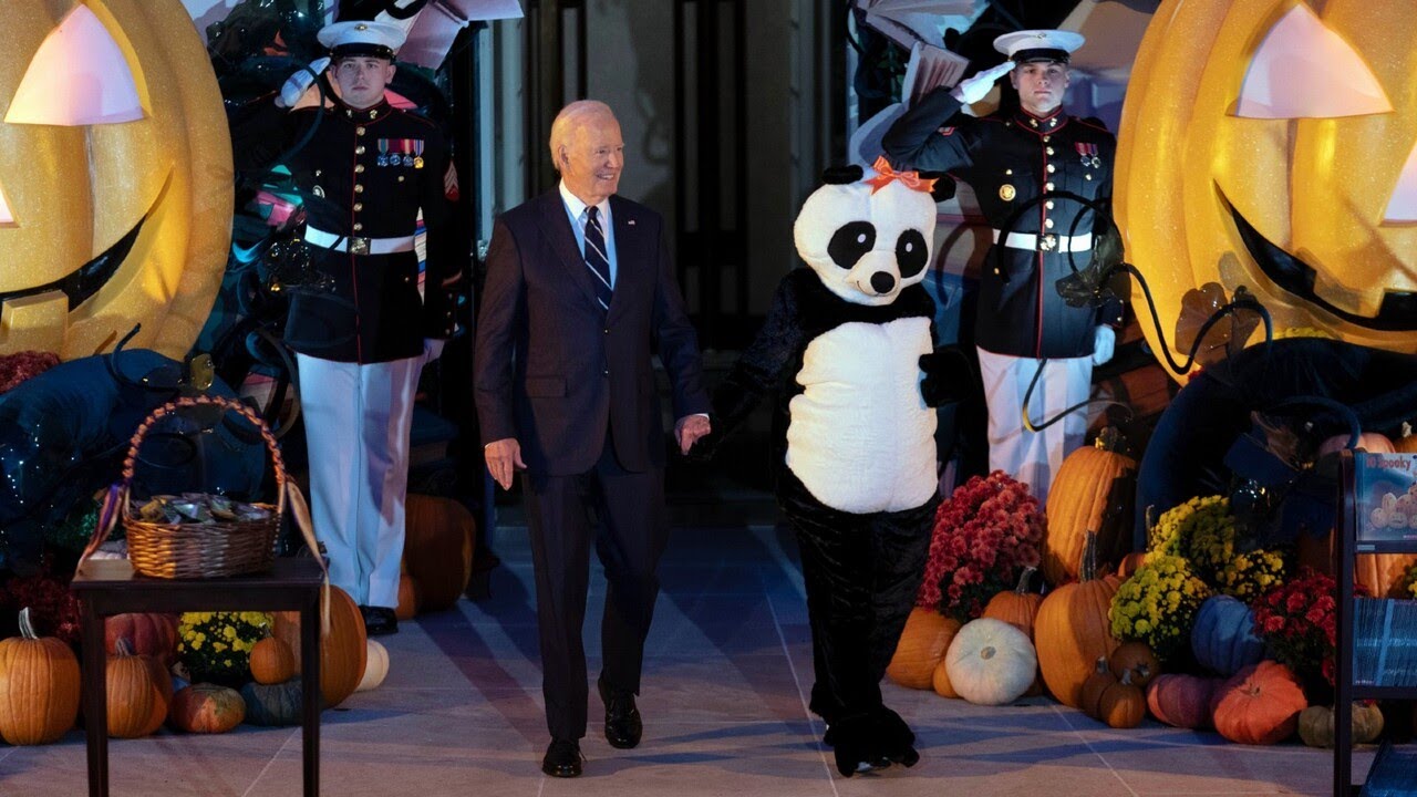 Jill Biden dresses up as a giant panda for White House Halloween event