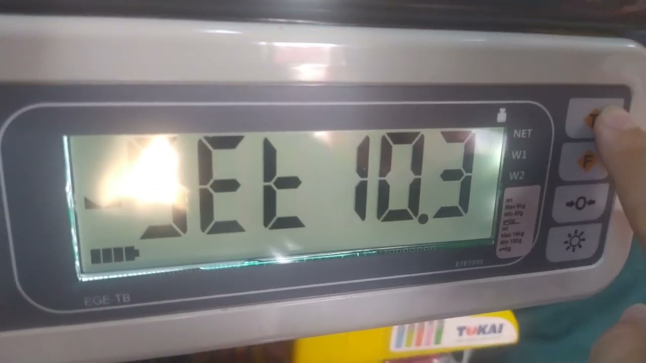 TEM EGE-TB 01 W1-W2 Terazi Bilnex Ayarları