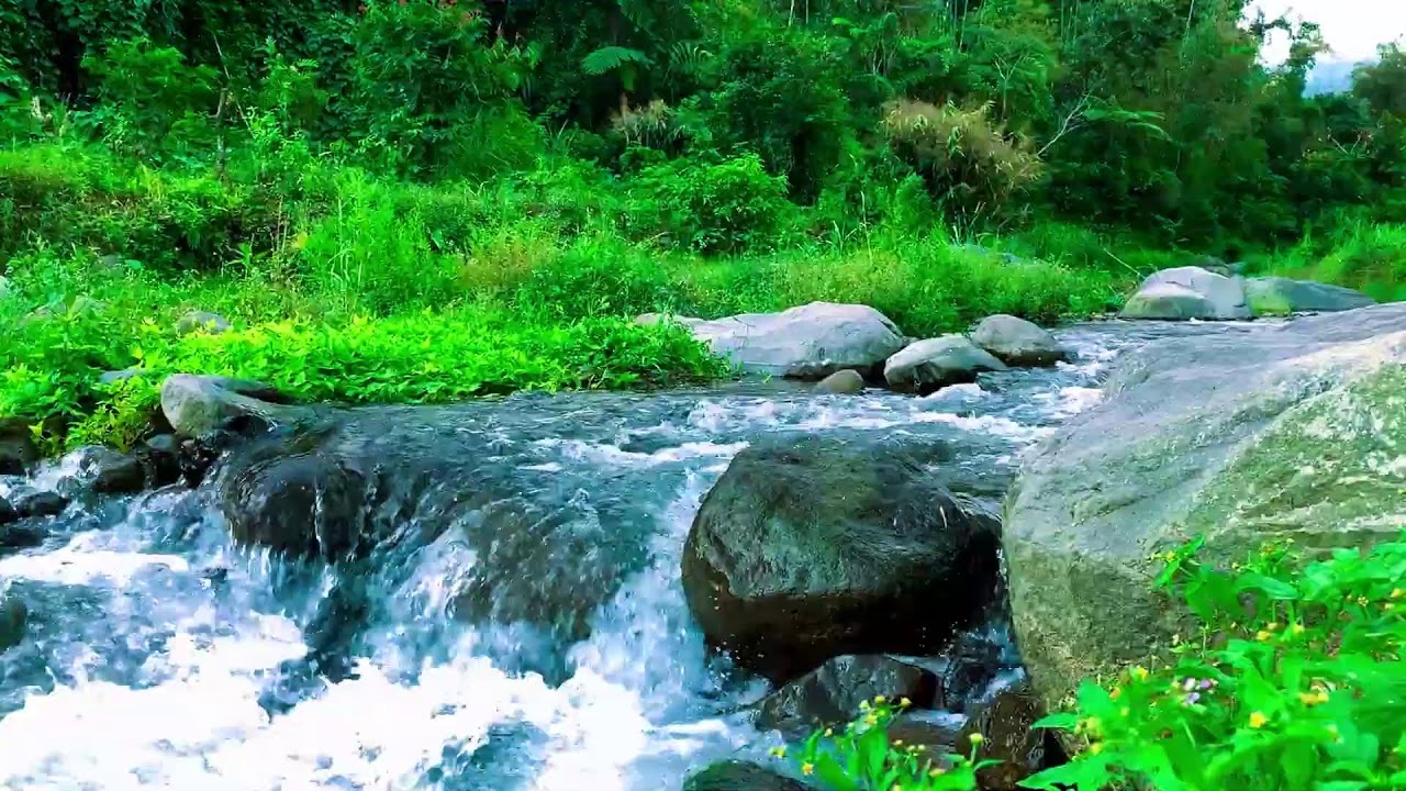 Water Stream Background Noise for All Night Sleep, Soothing the Soul, Mental Focus