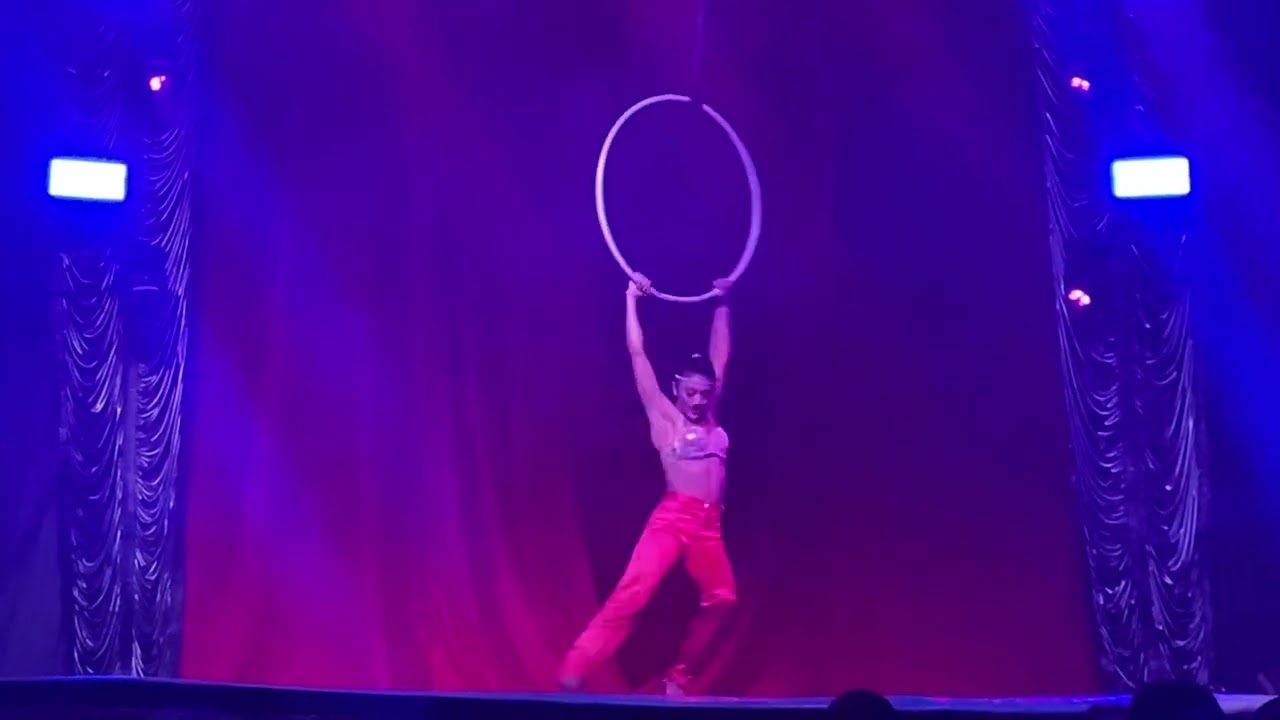 Aerial Hoop - Natasha Stevanovich