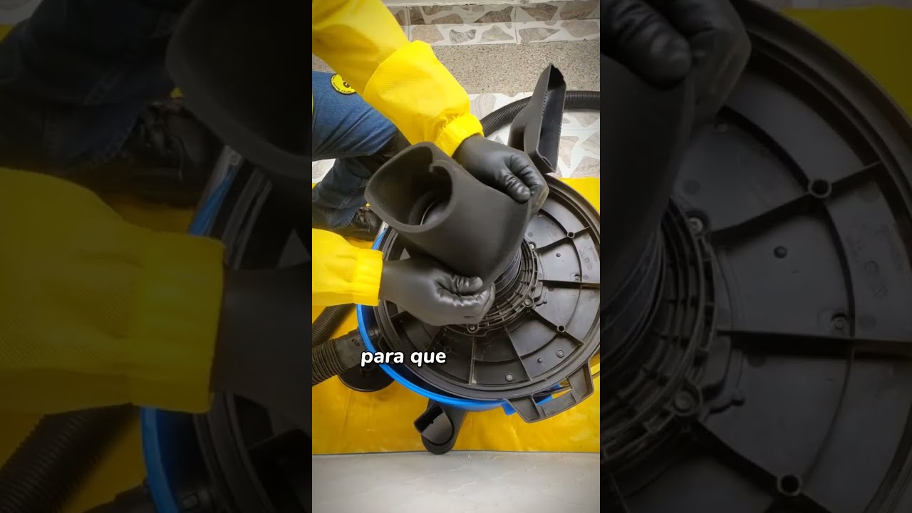 ¡NO laves sin esto! Cómo usar los FILTROS en aspiradoras para tapizados - Service Muebles ®