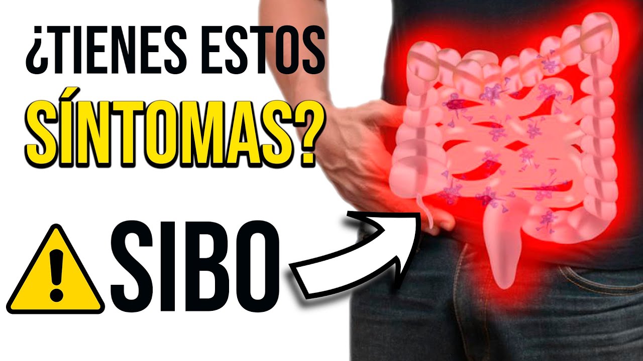 💥 ¿Sufres digestiones pesadas, diarreas, intolerancias...? 😪 Podría ser SIBO😨 Mónica Pérez