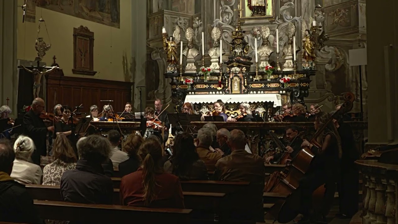 J. Brahms - Serenata N°1 - Allegro molto - Orchestra da Camera del Locarnese - Andreas Laake