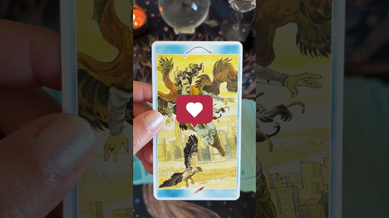 Tarot de Hoje - Mensagem do Dia &ndash; Reflex&atilde;o Di&aacute;ria🌞 #tarotdodia #foxtaroteoraculos #mensagemdodia