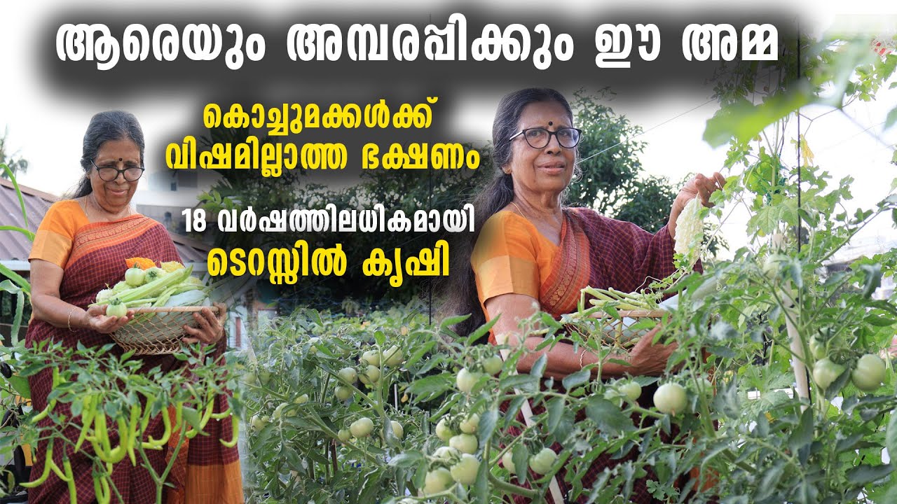18 വർഷത്തിലധികമായി ടെറസ്സിൽ കൃഷി | ന​ഗരമധ്യത്തിലെ മട്ടുപ്പാവ് നിറയെ പഴങ്ങളും പച്ചക്കറികളും