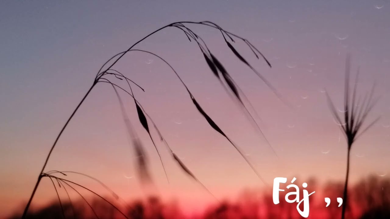 Fáj ,,(Saját dalszöveg + AI zene )#aizene #music 