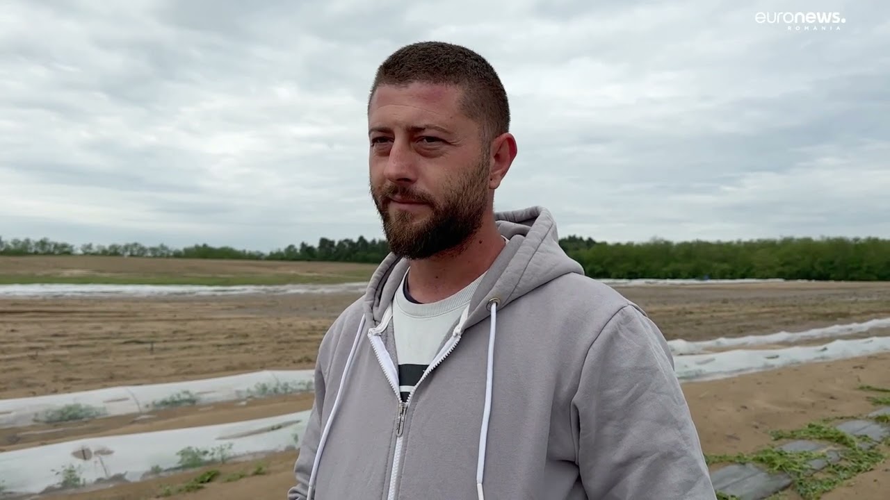Culturi distruse de ploi și grindină. Fermierii se plâng că nu mai au ce să vândă anul acesta