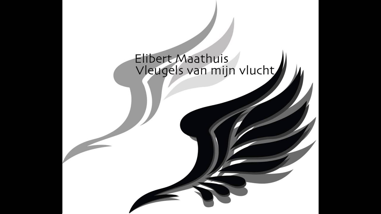 Vleugels van mijn vlucht