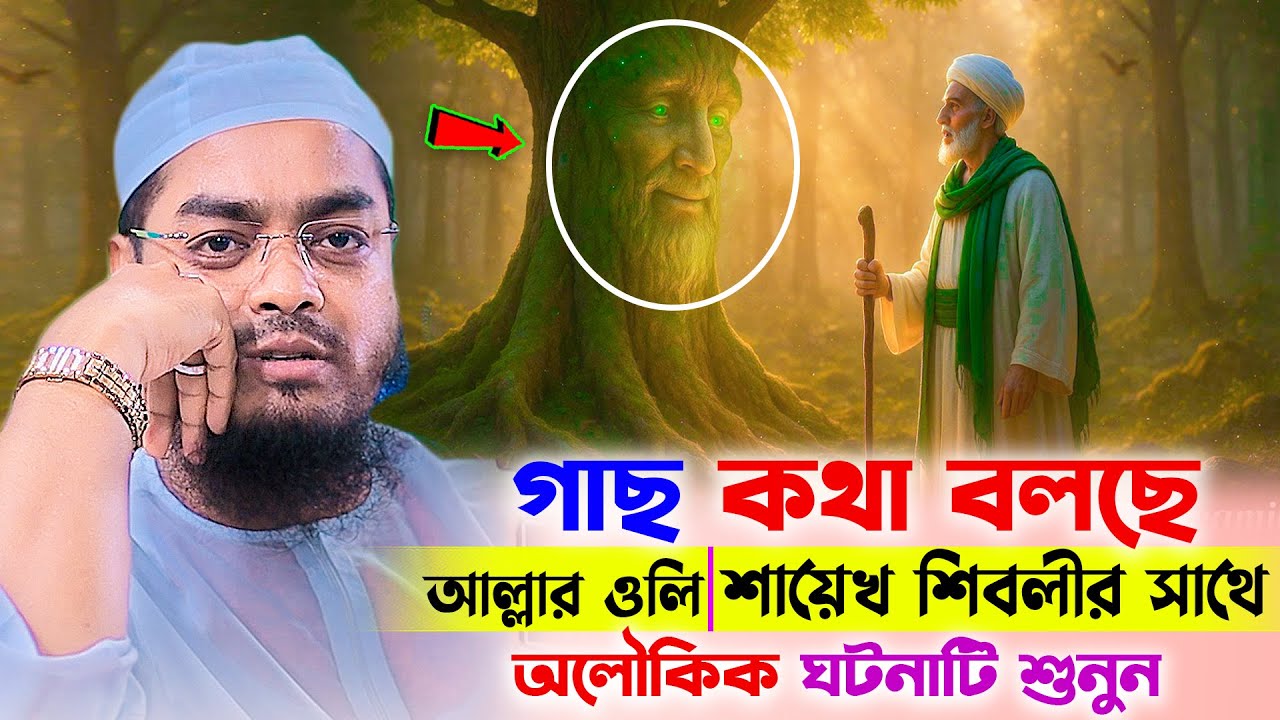 আল্লাহর অলি শায়েখ শিবলীর অলৌকিক একটি ঘটনা শুনুন । হাফিজুর রহমান সিদ্দিকী । hafizur rahman waz 2025