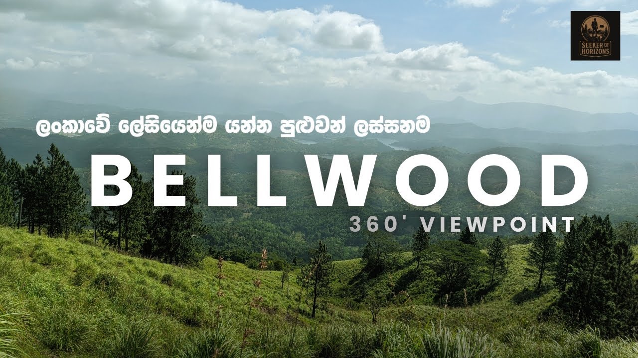 හැමෝම හොයන ලංකාවේ ලස්සනම view point එක🍃🔥 | Bellwood - Kandy 