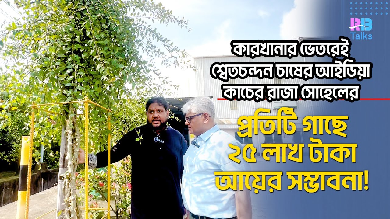 কারখানার ভেতরেই শ্বেতচন্দন গাছের চাষ; প্রতিটির দাম প্রায় ২৫ লক্ষ টাকা | Sandalwood | Sohel | PHP