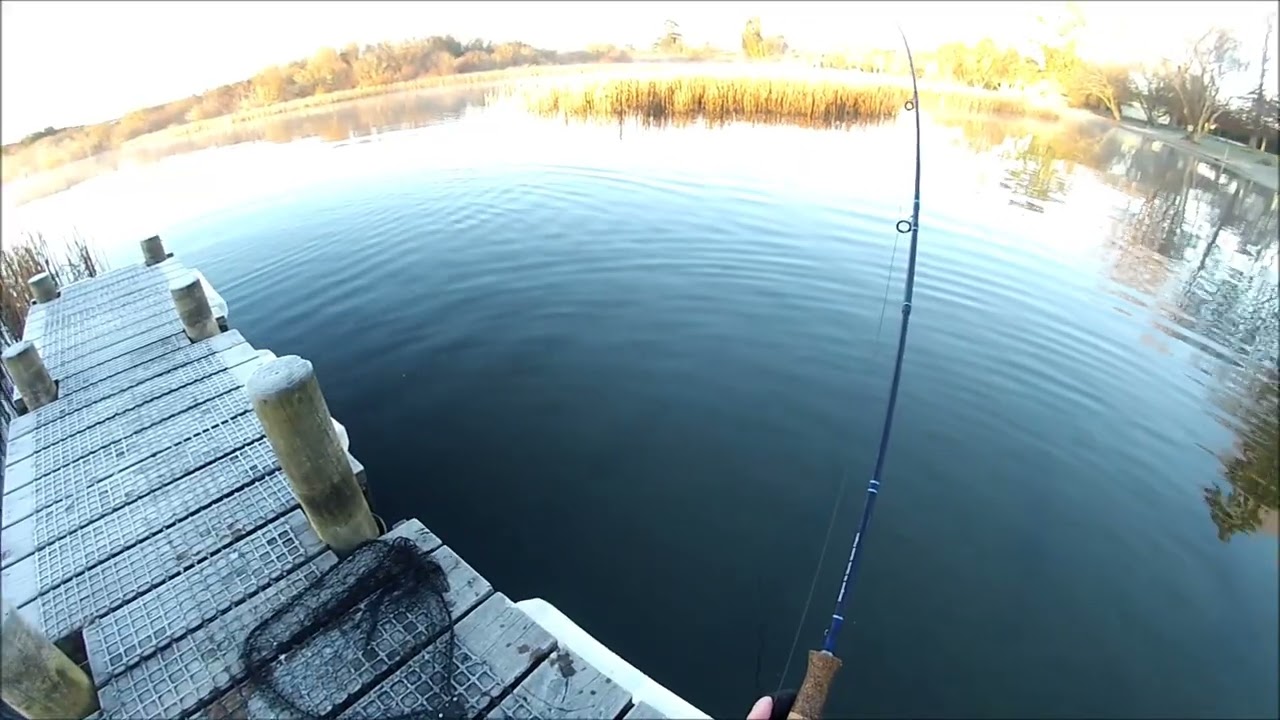 NEW ZEALAND TROUT FISHING LONG DROP 9