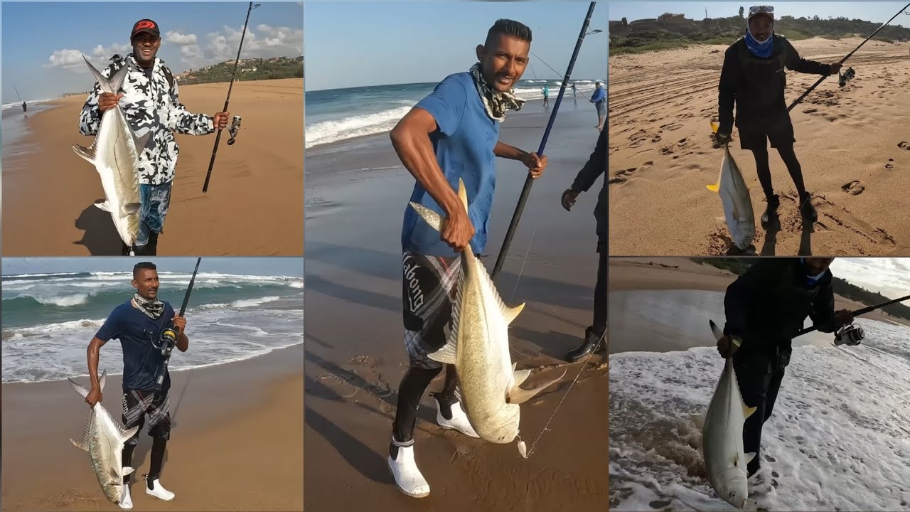 РЫБАЛКА НА САРДИНУ В АМАНЗИМТОТИ!!! #РЫБА БЫЛА ДИКОЙ! НА ДЖИГ И ЗАБРОС #sardinerun2025 #kingfish