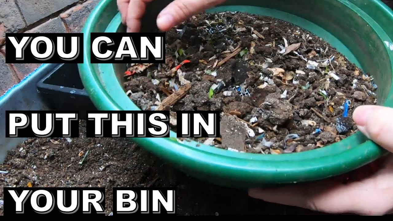 Revolutionize Your Composting with Worm Bins - Here's How!