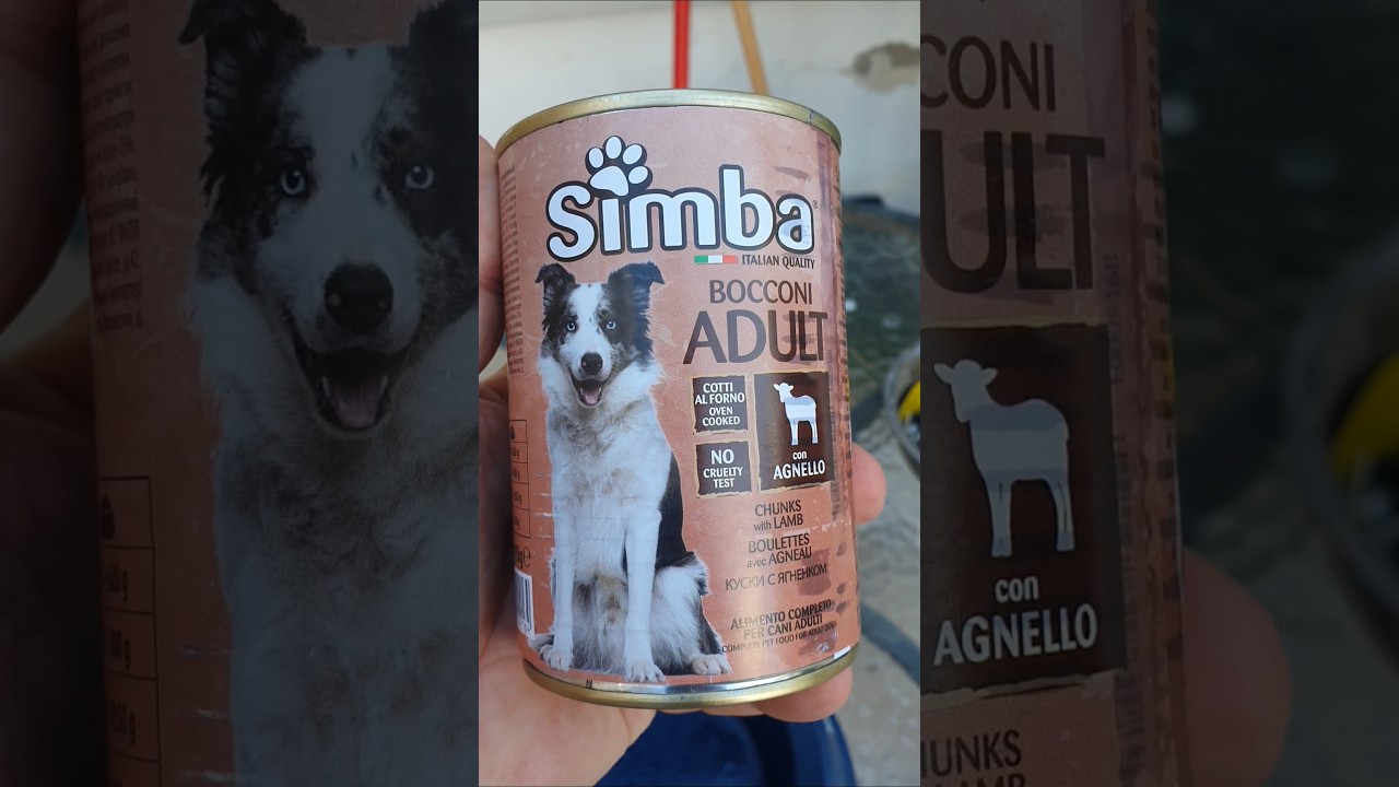 Simba BOCCONI ADULT CON AGNELLO