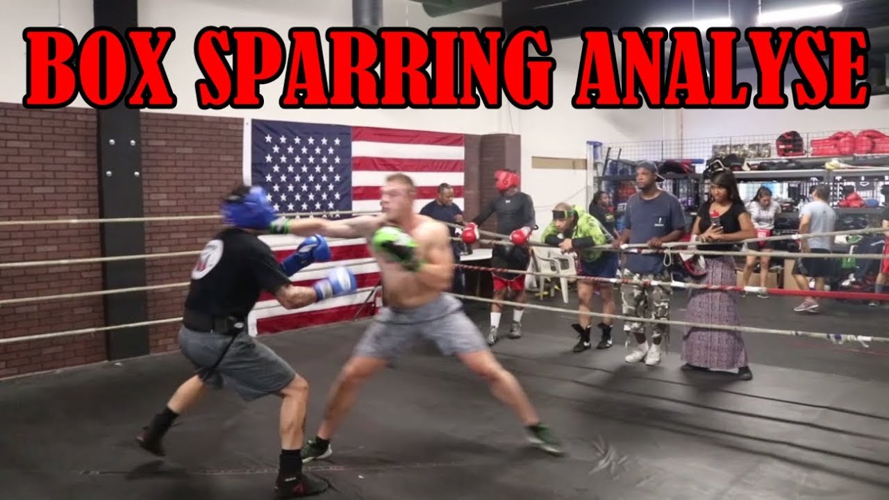 SMOLIK Box Sparring gegen Profis - Kampf mit der Führhand dominieren | ANALYSE