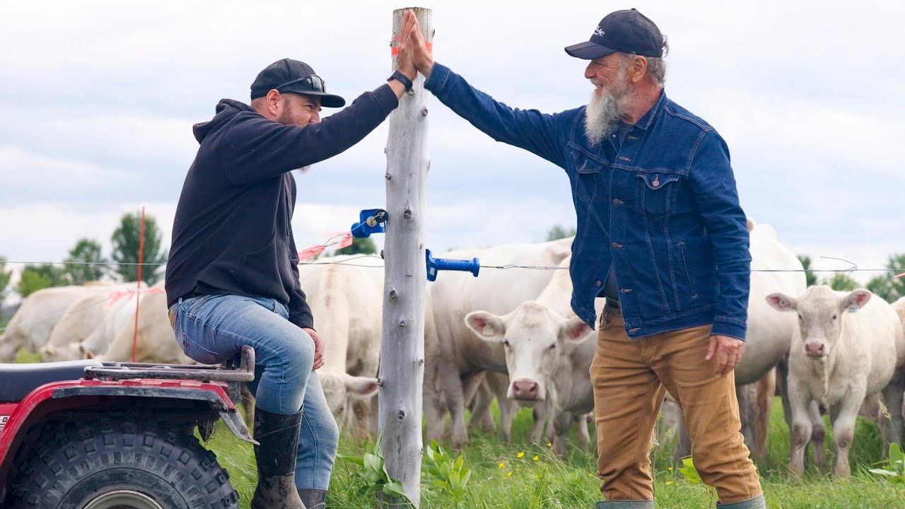 Prendre la durabilité en main - Les Producteurs de bovins du Québec