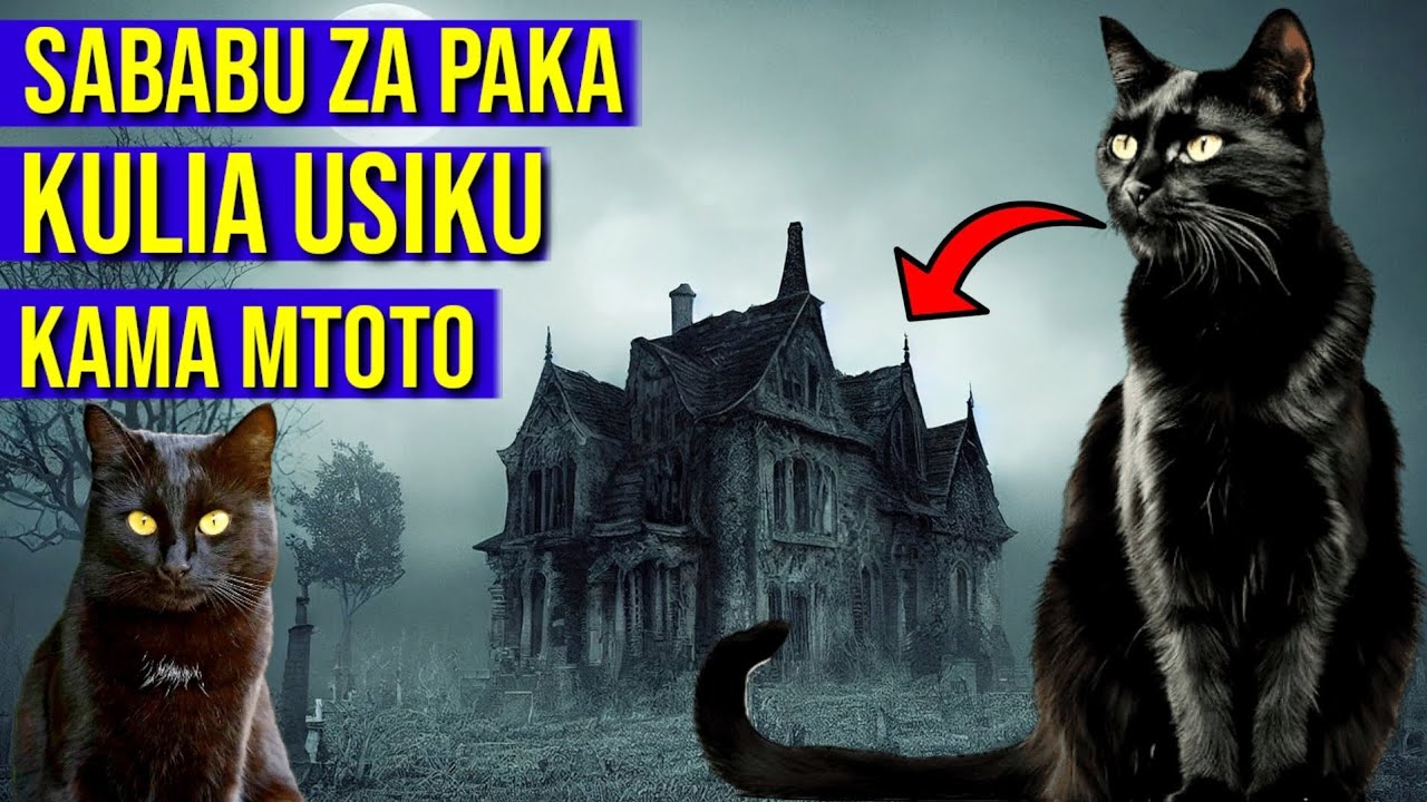 FAHAMU MAAJABU YA PAKA NA KWANINI ANALIA USIKU KAMA MTOTO SABABU NI HIZI USIPUUZE TAZAMA