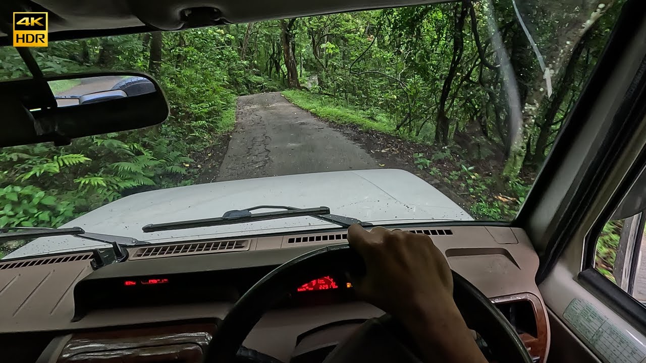 Elephants Crossing village road #village #road #bolero #mahindra #southindian #india #indian