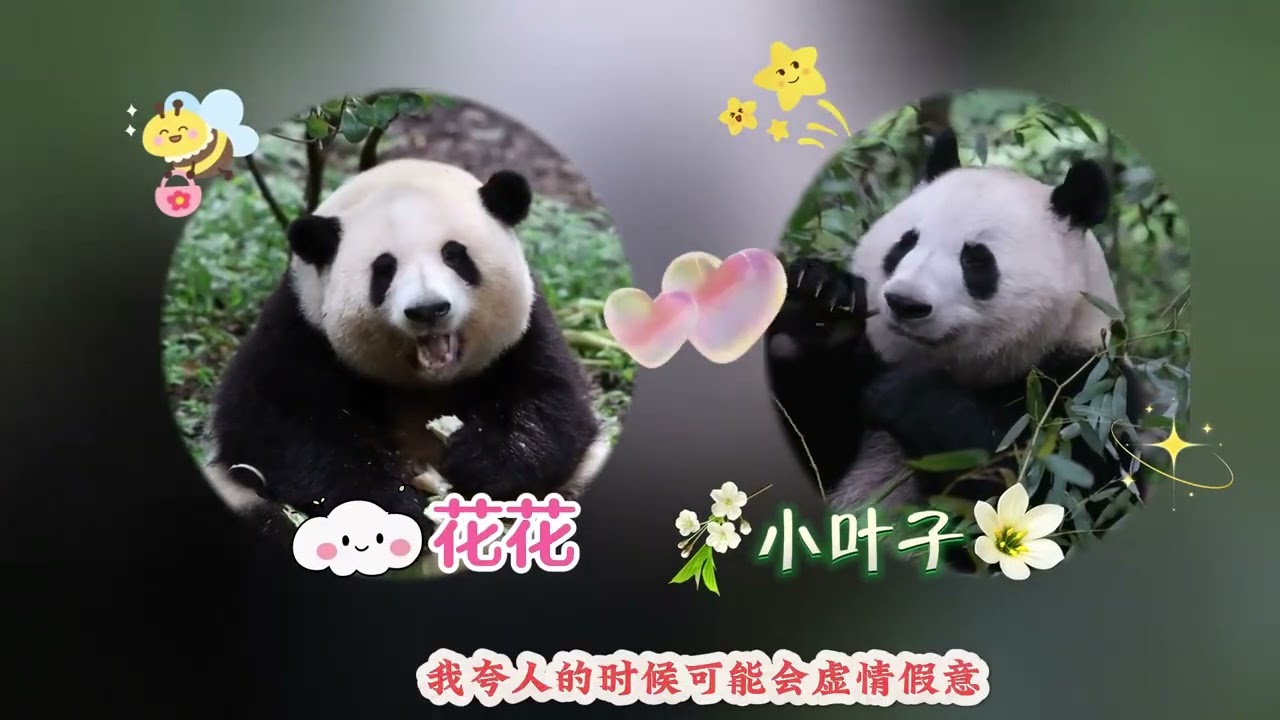 与其内耗自己，不如外耗别人，别内耗，做自己 #熊猫花花 #自我成长 #和花和叶