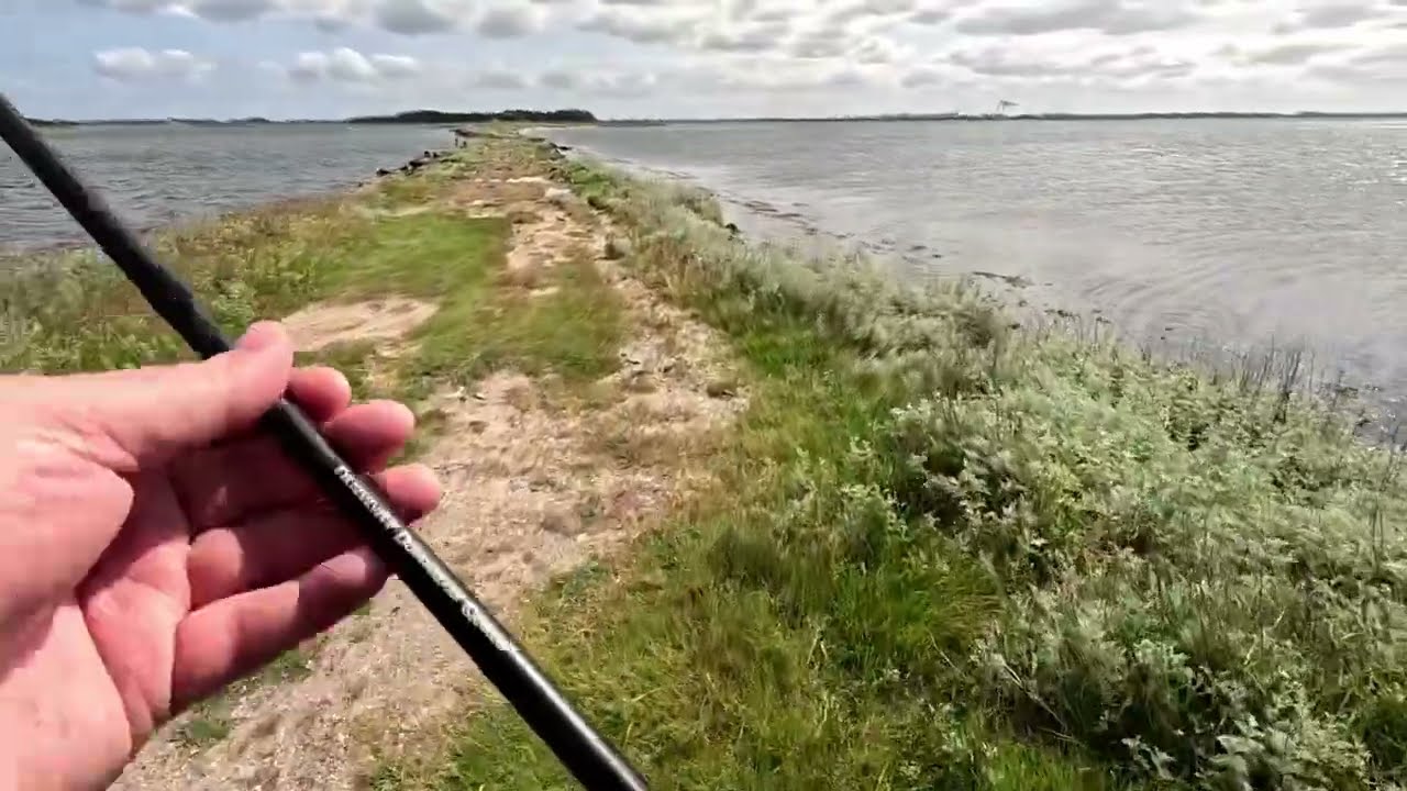 🌊 Fisketur i Dansk Sommervejr – Undervandsoptagelser af Hornfisk & Havørred! 🌊