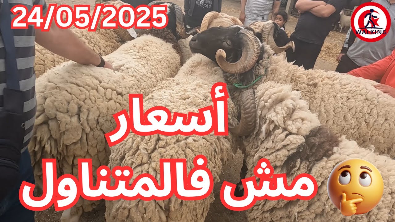 جولة في رحبت العلوش إبن سينا البطوار تونس 24/05/2025