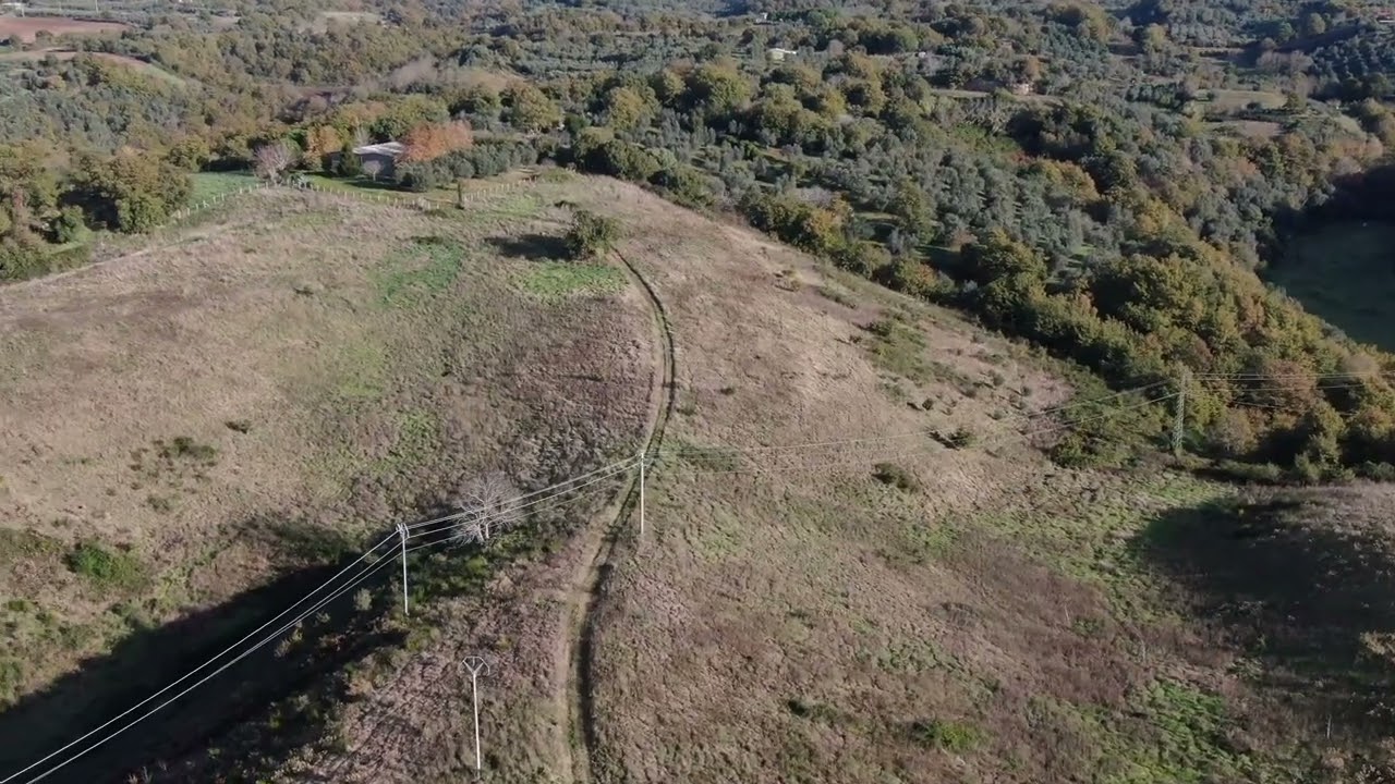 AZIENDA AGRICOLA CON CAPANNONE - CELLERE (VT)