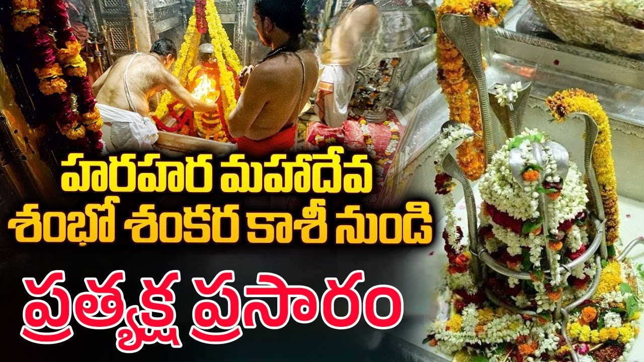 LIVE : కాశీ శివలింగం లైవ్‌ దర్శనం || Darshan From Shree Kashi Vishwanath Temple Varanasi 13-11-2024
