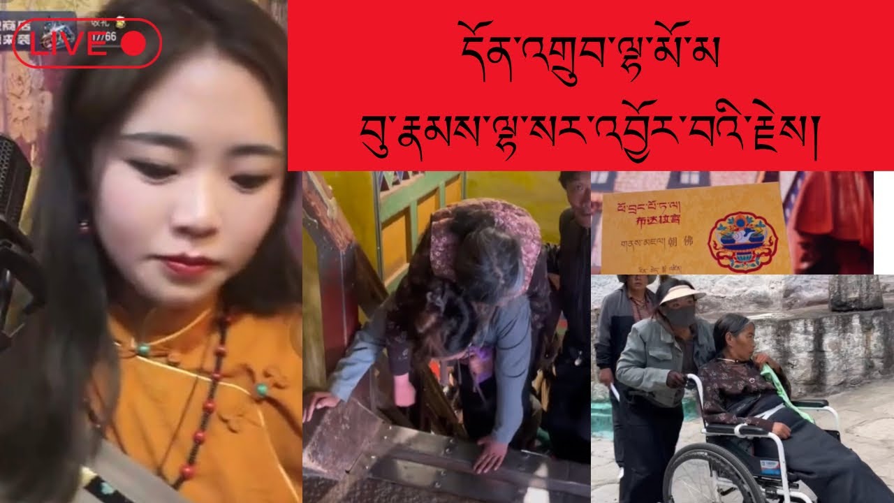དོན་འགྲུབ་ལྷ་མོ་མ་བུ་རྣམས་ལྷ་སར་སླེབས་རྗེས། ཡི་རངས་ཞུ་བའི་ཡུལ་ཞིག་རེད།