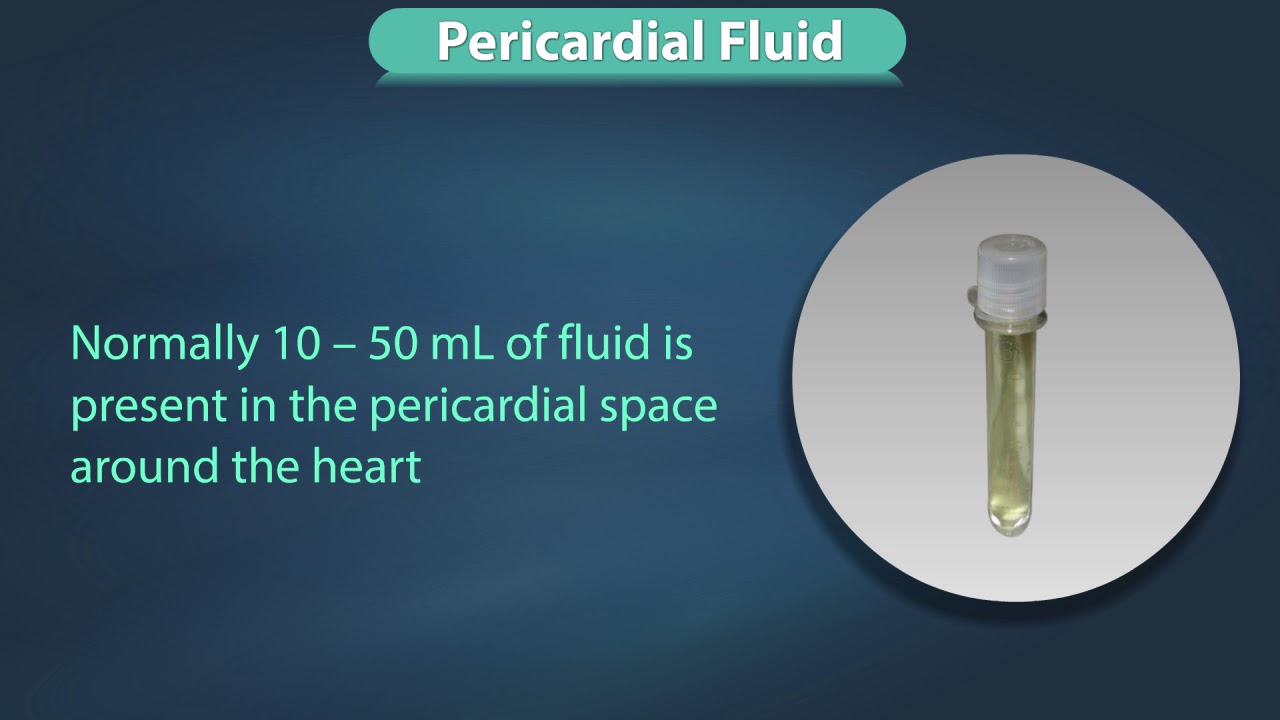 Fluid Examination Specific