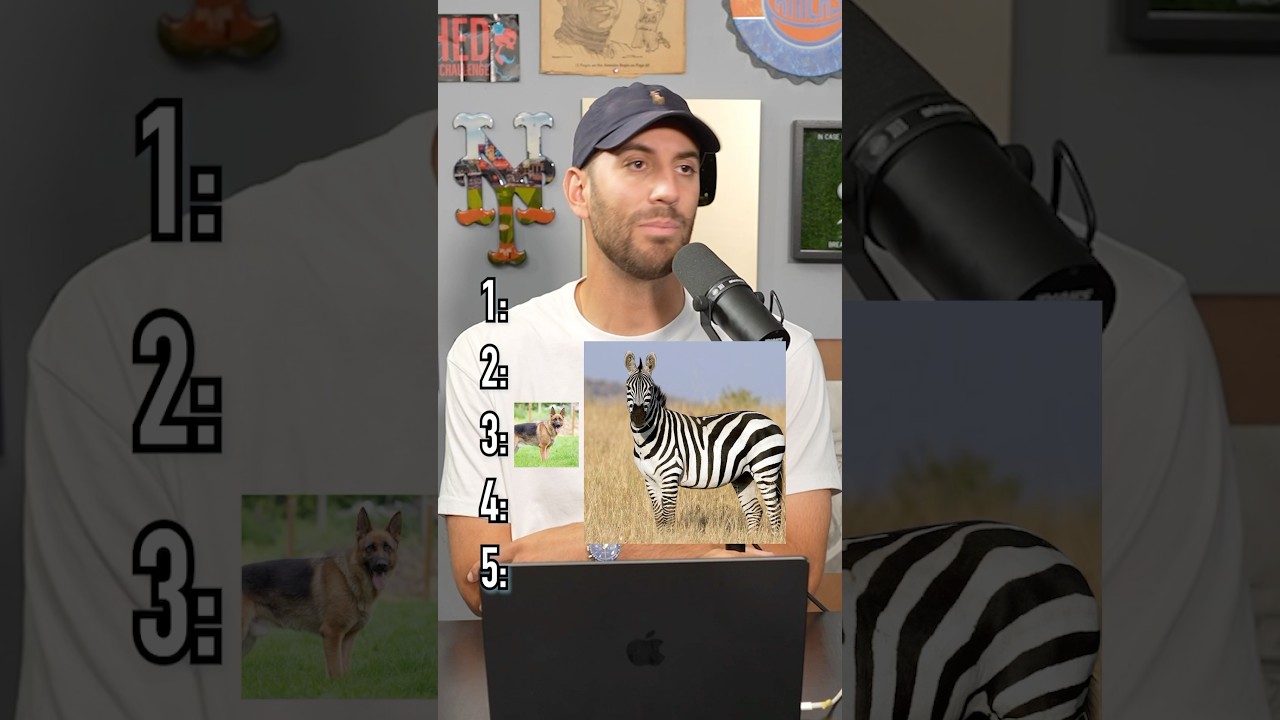 Ranking Animals You Caan Take In A Fight! Is He Right? 