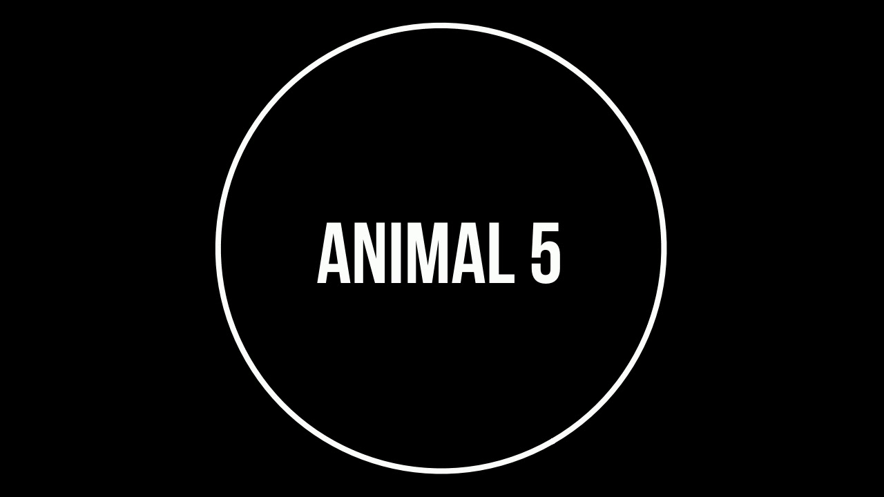 Nocturnal animal sounds