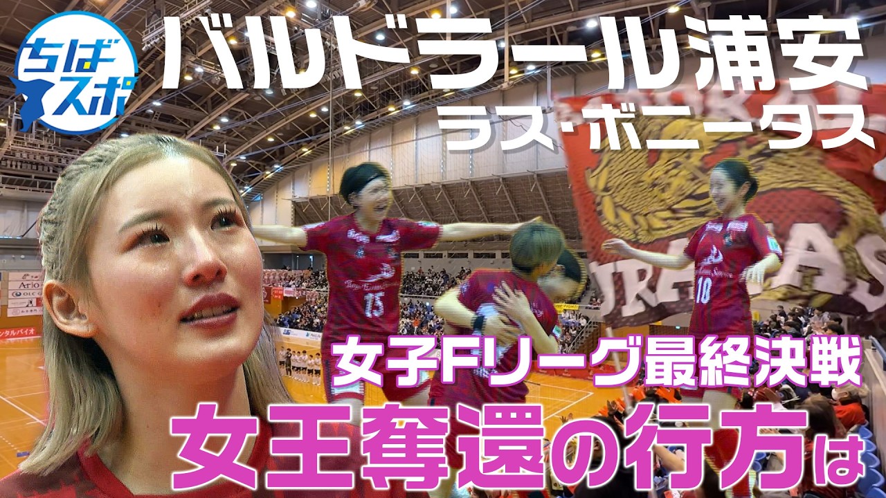 【ちばスポ】女王奪還の行方　バルドラール浦安ラスボニータス