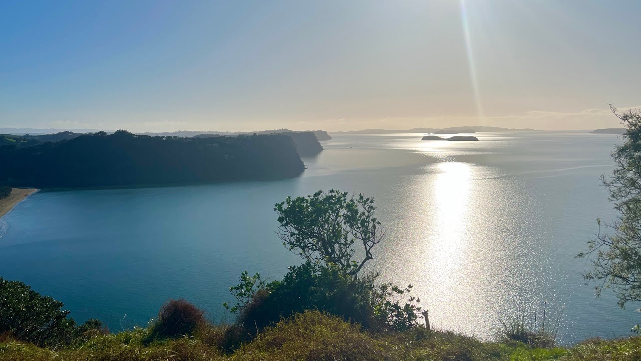 The Most Beautiful Wenderholm Regional Park| Auckland, New Zealand