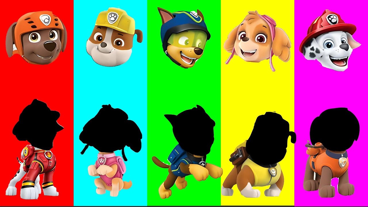 Wrong eyes👀 challenge DAME TU COSITA Funny Puzzle Wrong Heads