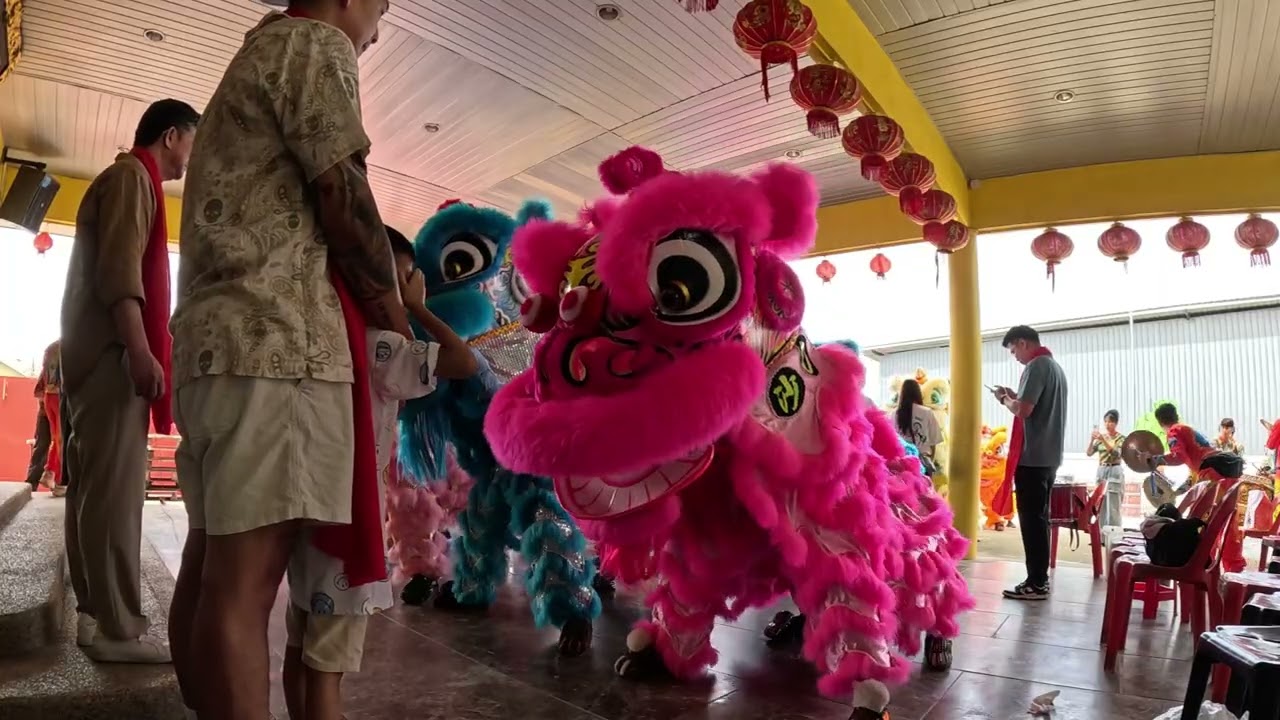First Lion dance Eye Doting experience with Daw