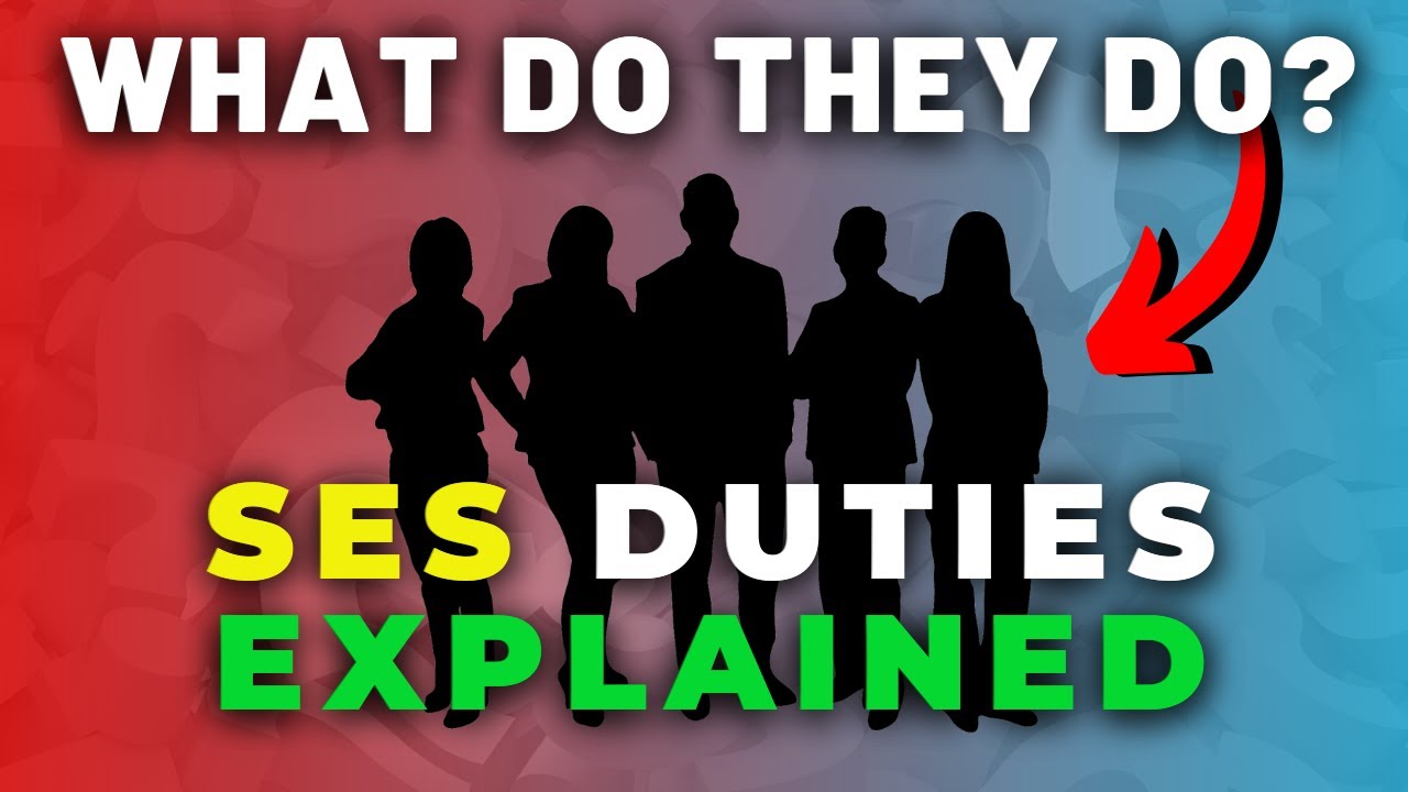 What Does A Senior Executive Service Member Do?