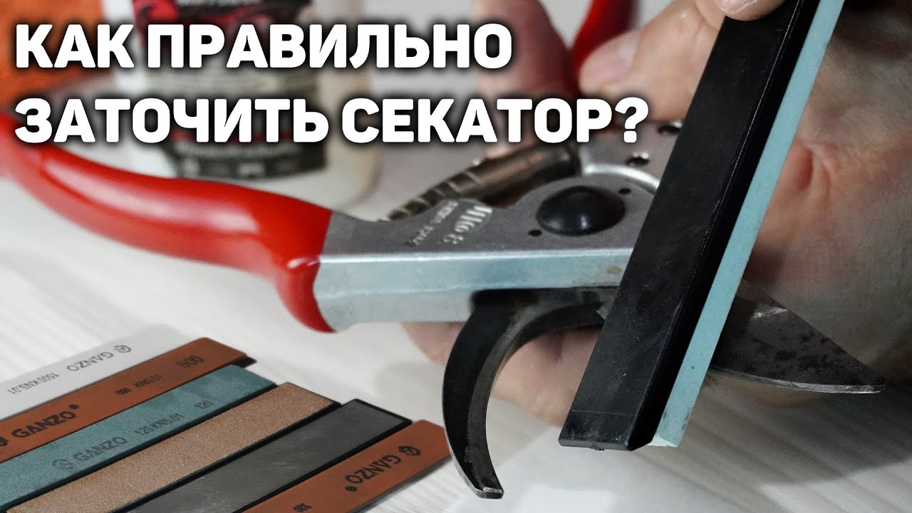 Как правильно заточить секатор? ✂️