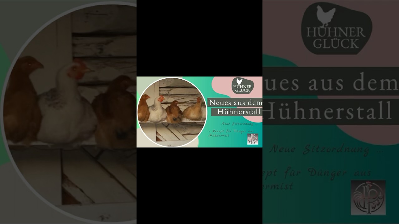 👉 H&uuml;hner-D&uuml;nger: 3 geniale Methoden f&uuml;r einen fruchtbaren Garten! 🐔💩🌱 #D&uuml;nger #h&uuml;hnermist