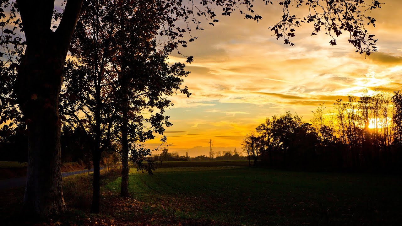 Laudes de Quinta-feira da 14ª Semana do Tempo Comum
