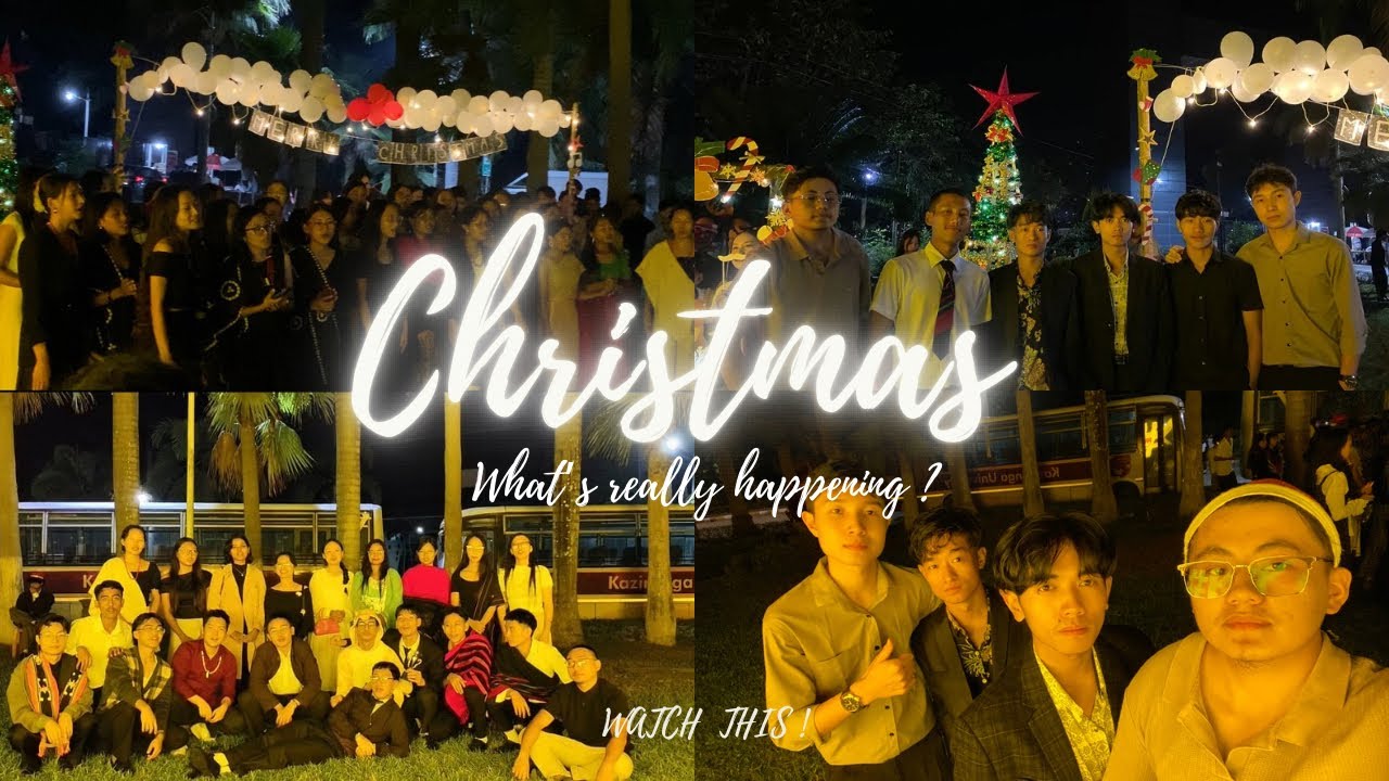 ПРЕДРОЖДЕСТВЕНСКАЯ НОЧЬ В УНИВЕРСИТЕТЕ КАЗИРАНГА, ПОЛНАЯ РАДОСТИ 🎄